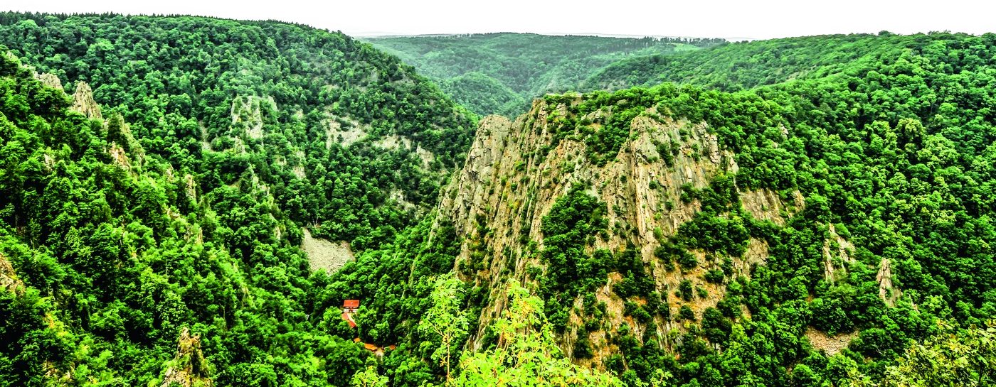 Blick über die bewaldete Bodetal-Schlucht auf das Roßtrappenmassiv