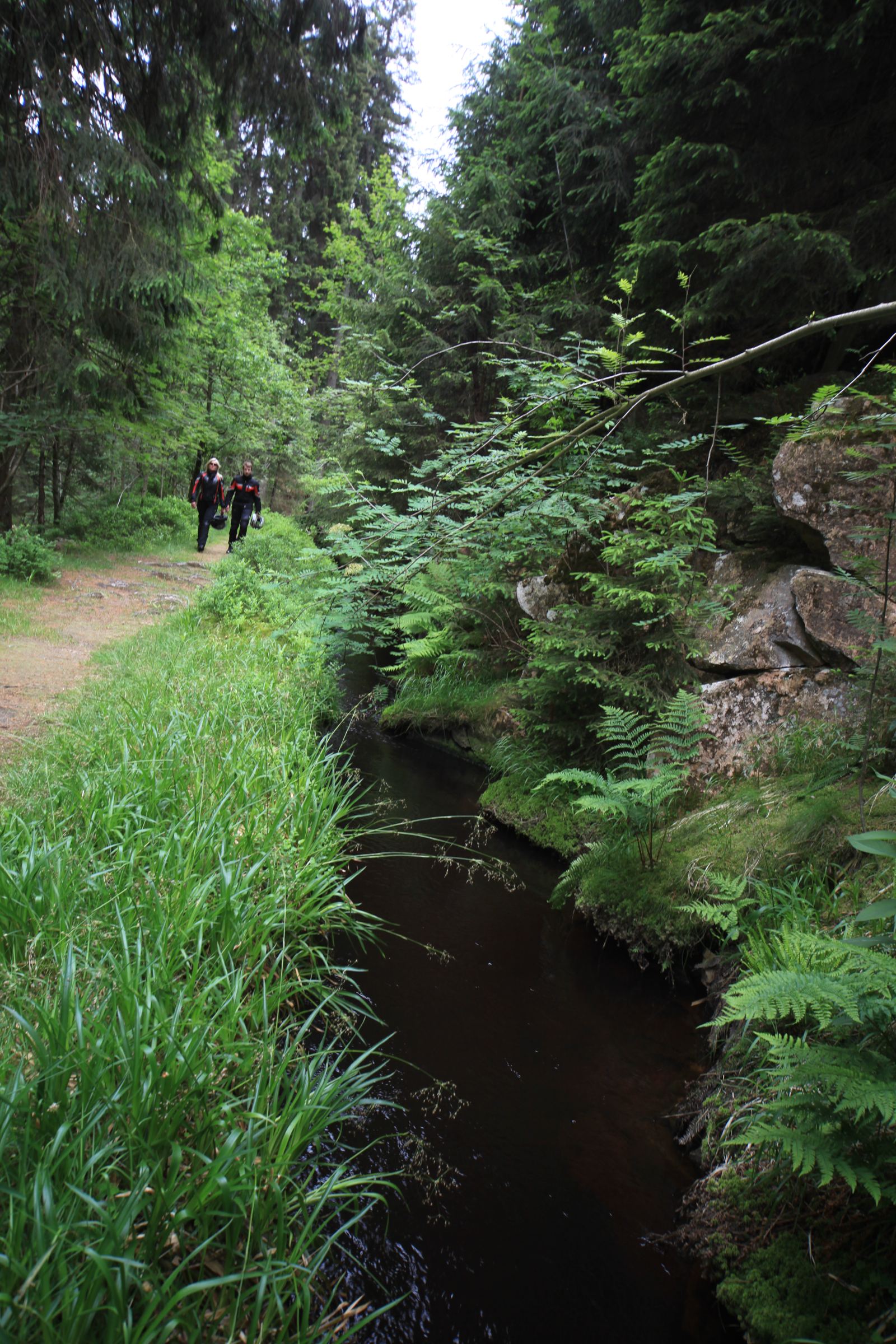Ein Graben im Wald, mehr sieht man nicht. Davon gab es einmal 500 Kilometer, erhalten sind 310, in Betrieb 70 — das läuft, es ist kein Museum.