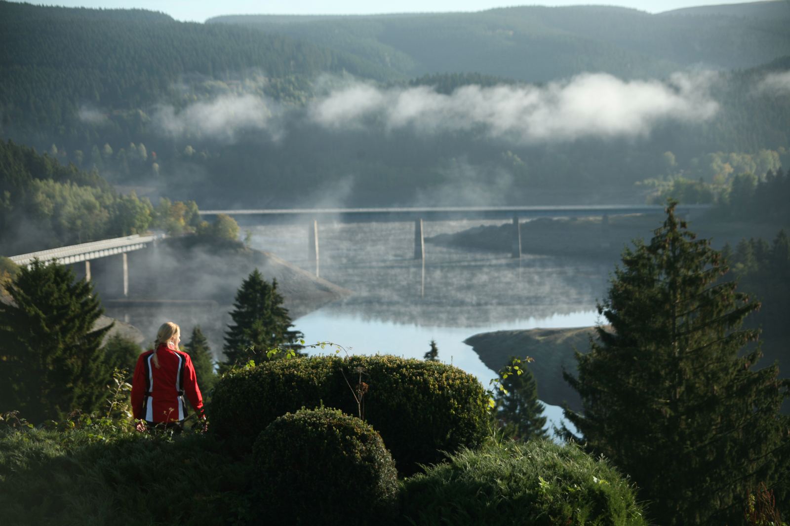 Morgennebel über einem Harzer Stausee, der Pegel steht sichtbar tief. Von solchen Sperren kommt das Trinkwasser für weite Teile Norddeutschlands.