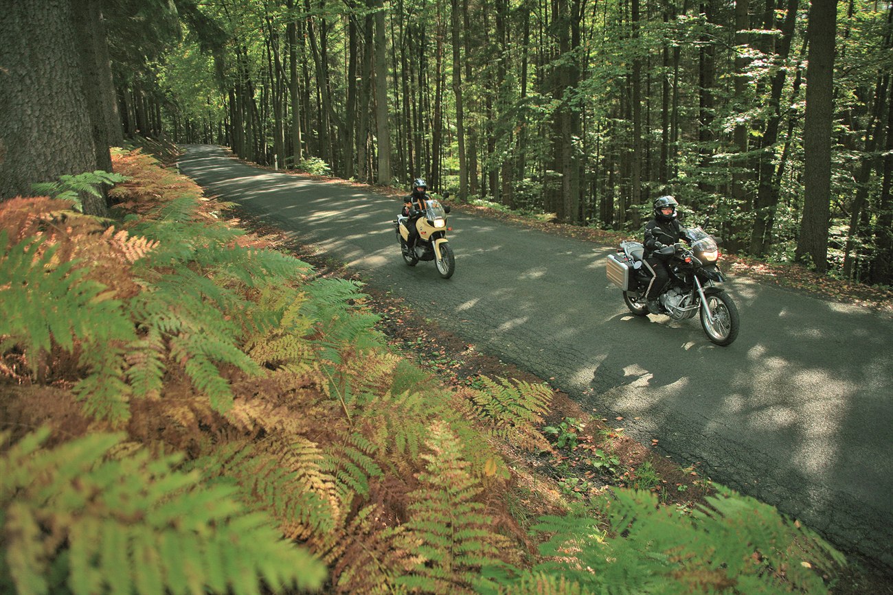 Zwei Motorräder auf einem schmalen Teerweg durch dichten Wald