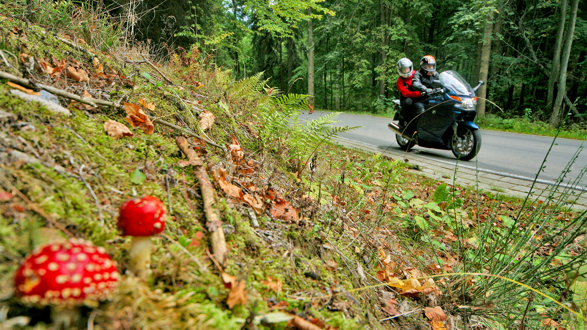 Sagenhafter Harz